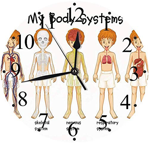 Hisense 1Q Series WF1Q9041BW Freestanding 9 KG Front Load Washing Durable Inverter Machine, Steam Wash, Quick Wash, 15 Washing Programs 1400 RPM White - Energy Rating A