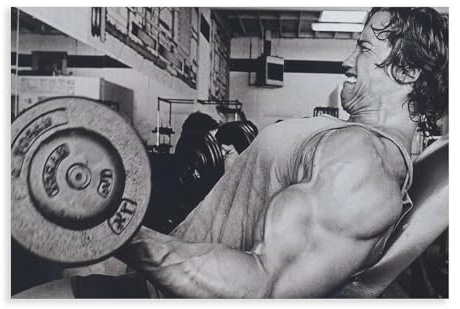 Arnold Schwarzenegger - Poster da parete, 2 ispiratori, per palestra, 30 x 45 cm
