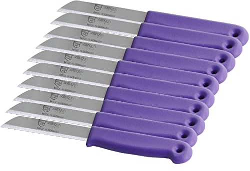 Couteaux à fruits en acier inoxydable de Solingen Fabriqués en Allemagne avec une lame tranchante pour couper les fruits et légumes, lot de 10 (Long)