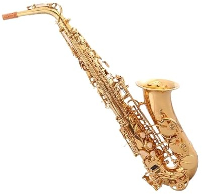 Professionell Saxofon Altsaxofon Med E klaviatur Lämplig För Spel Med Gigbag