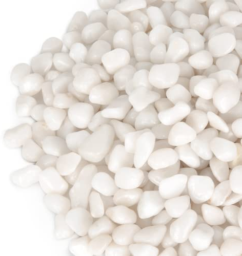 GASPRO 6,8 kg weiße Kieselsteine, 0,9 cm durchschnittlich, poliert, für Pflanzen, Vasen, Aquarien, Garten, hochglanzpolierte und glatte Oberfläche