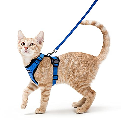 rabbitgoo Harnais Chat Petit Chien Laisse Harnais Chaton Réglable Bleu S Collier Harnai Chat Refléchissant Gilet Respirant pour Lapin, Chat Européen, Maine Coon, Persan, Attache Dessus avec Laisse