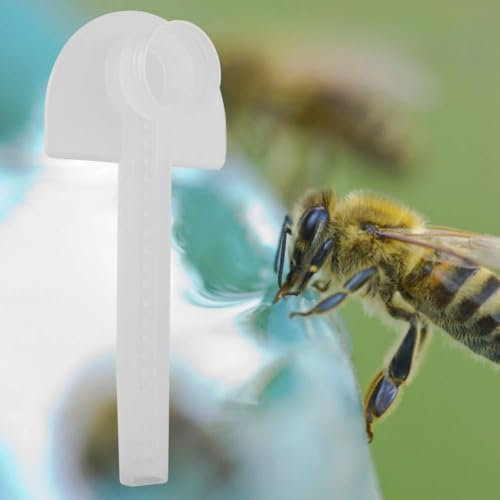 DISPENSADOR DE Agua para ALIMENTADOR DE Abejas DE Colmena con Pico DE Pato para Equipos DE Apicultura