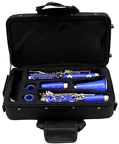 Yechiry Black 600D Clarinet Bag, Tear Proof Rainproof Padded Storage Case with Detachable Adjustable Strap Clarinet Gig Bag for Flute Saxophone Instrument Accessories