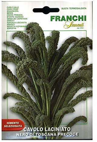 SEMENTI DI ORTAGGI DI QUALITA' PER USO HOBBYSTICO IN BUSTINA TERMOSALDATA (CAVOLO LACINIATO NERO DI TOSCANA)