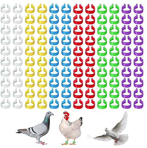 OHYER 120 Stück Hähnchen Beinringe Geflügel Bänder Hühnerbeinringe Clip Kleingeflügel Klemmringe Bands Clip On Leg Rings für Markieren von Küken Vogel Taube Papagei Wachtel (6 Farben,16mm)