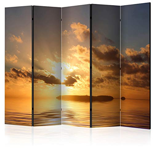 decomonkey Paravent Raumteiler Innen Landschaft Natur 225x172 cm 5 Teilig Beidseitig Room Divider Wall Raumteiler Stehend Trennwand Sichtschutz Spanische Wand Sichtschutzwand Wohnzimmer Holz Meer