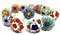 Royal Kraft Vintage Hand Painted Ceramic Pull Knobs for Kitchen Cabinet, Door & Drawer, Wardrobe, Cupboard (Set of 10) Sknob001