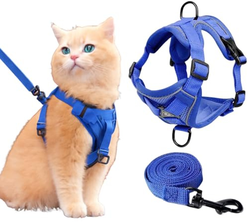 UIEXAY Pettorina Per Gatti Regolabile Con Guinzaglio, Antirottura Per Gatti, Con Strisce Riflettenti E Tessuto A Rete Traspirante, Per Gattini, Cuccioli (M)