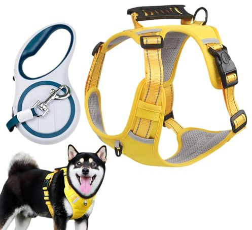 Pettorina per cani da passeggio – Gilet regolabile con cinturino pettorale fibbia di sicurezza, imbracatura per cuccioli | per esterni, giardino, cortile, prato, famiglia, amici animali domestici