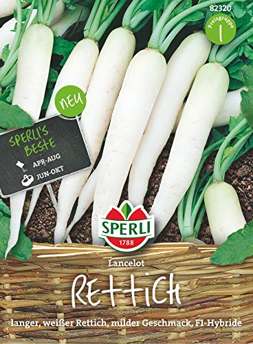 Sperli Rettichsamen Lancelot, F1 82320 - schlanke, japanische Sorte - milder Geschmack - Inhalt für 5-7 lfd. Meter - Samen Gemüse, Gemüsesamen, Saatgut