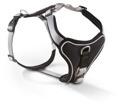 WOLTERS Geschirr Professional Comfort