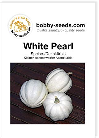 White Pearl Kürbissamen von Bobby-Seeds Portion