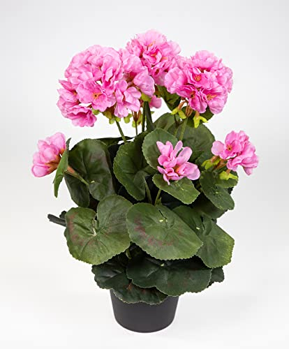 Künstliche Geranie im Topf 35cm LM Kunstblumen künstliche Pelargonium Blumen Pflanzen (Rosa)