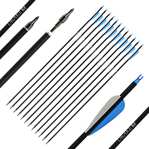Komplettpfeil - Drake Ice - 28-32 Zoll - Carbon - 12 Stück (30 Zoll), TOP Einsteigerpfeil zum Bogenschießen, mit Schraubspitze, sehr hochwertig und top verarbeitet