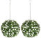 HOMCOM Set of 2 Decorative Artificial Plants, UV-protected Artificial Plant Topiary Rose Balls, Fake Plants for Home Indoor outdoor Decor, 28cm, White