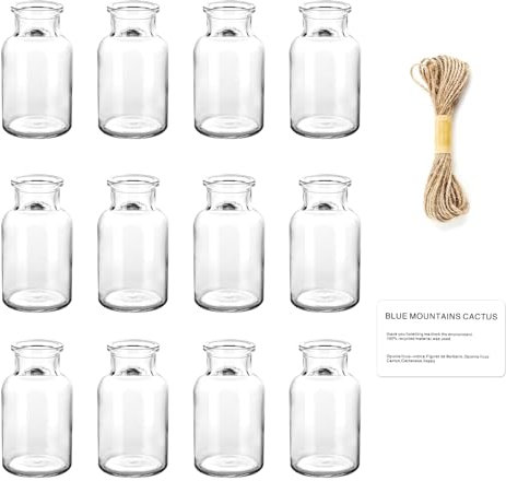 12PCS Small Glass Bud Vases Set, 125ml Mini Vases for Flowers | Rustic Wedding Table Decoration & Home Decor | Includes Jute Twine 6M & Stickers |Handmade Centerpieces for Party Reception Coffee Table