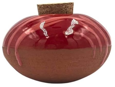 Olla Galet Gourmand Cerise – Irrigation naturelle en terre cuite pour plantes en pot – 15 cl – Arrosage autonome 2 à 5 jours – Économiseur d’eau – Fabrication artisanale française