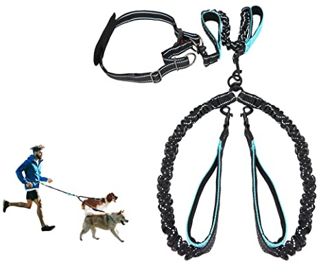 Hands Free Dog Leash, Double Dog Leash for Comfortable Walking Jogging Training Hiking, Long Padded No Tangle 360° Swivel Clasp Adjustable Dual Lead Leashes