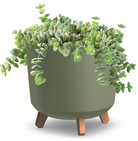 botle Pot de fleurs avec pieds Jardiniere sur pieds Blanc mat D 30 cm Pot de fleurs en plastique haut Arbre à argent Cactus Arbre en caoutchouc Plume porte-bonheur