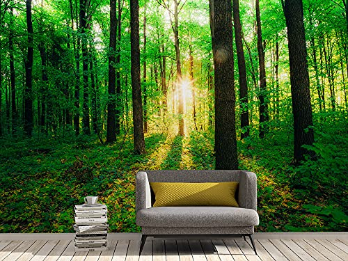 Oedim Fotomural Vinilo Adhesivo Bosque Verde, 400x300cm, Vinilo Adhesivo Decorativo para Habitaciones, decoración para Paredes.