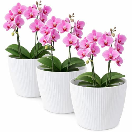 TULMERO Blomkruka matt, planteringskruka av ytterkruka plast dekorativ kruka för inomhus, stora växter 3 x blomkruka set, blomkruka örtkruka, (3-pack) vit, ø 11 cm