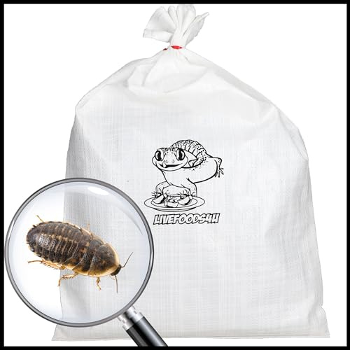 Livefoods4u Live Dubia Roaches Large (20-30mm) x100 Bulk Bag | High Protein Feeder Cockroach for Adult Bearded Dragons, Monitors & Large Reptiles | Sustainably Bred Livefood