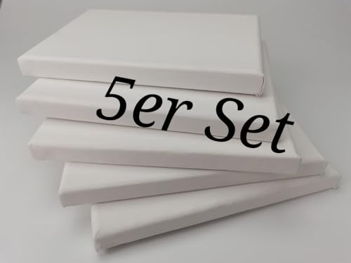 5 Stück Leinwand auf Keilrahmen aus Baumwolle 300 g/m² Set Maltuch zum Bemalen für Ölfarbe Acryl Aquarell (40x40 cm)