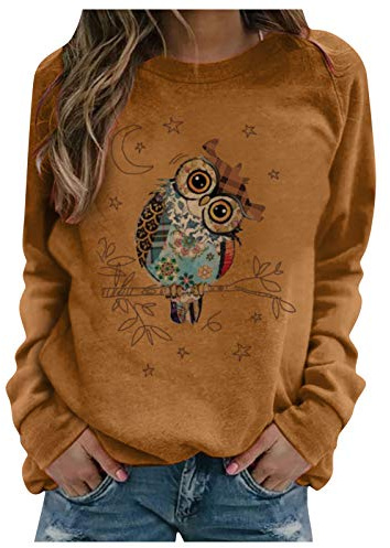 Kanpola Pull pour femme avec imprimé chouette - Col rond - Manches longues - Printemps été - Mode décontractée - Streetwear, B - Marron, XXL