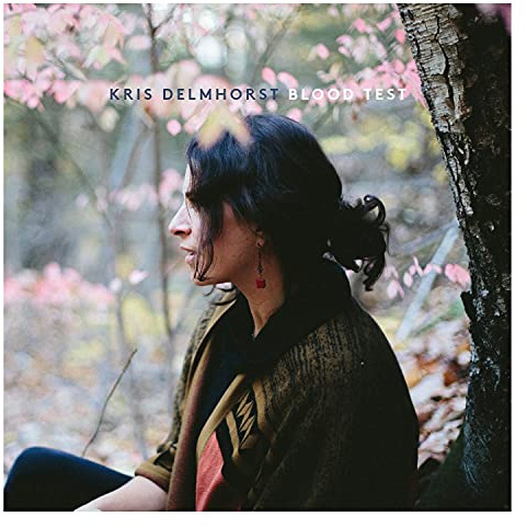 Kris Delmhorst - Blood Test