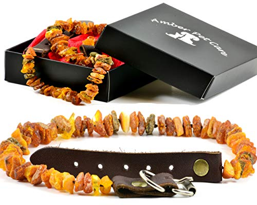 Bernsteinkette für Hunde und Katzen mit Lederschließe aus Roh Baltischer Bernstein / Elegance Zeckenhalsband / Flohband / Bernstein Gegen Zecken / Zecken und Flohschutz Halsband / Zeckenschutz Hund / Ungezieferhalsband