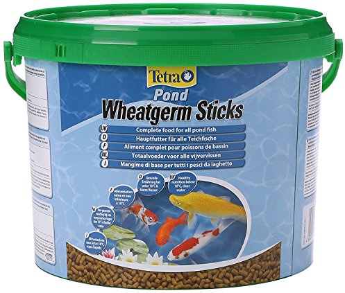 Tetra Pond Wheatgerm Sticks, Alimento rico en fibra para todos los peces de estanque, especialmente adecuado para temperaturas de agua frías (primavera, otoño), cubo de 10 L