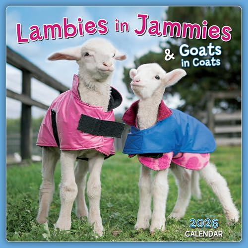 Lambies in Jammies & Goats in Coats 2026 Mini Wall Calendar, Cute Farm Animal Photography from Edgar’s Mission Rescue, 7 x 7