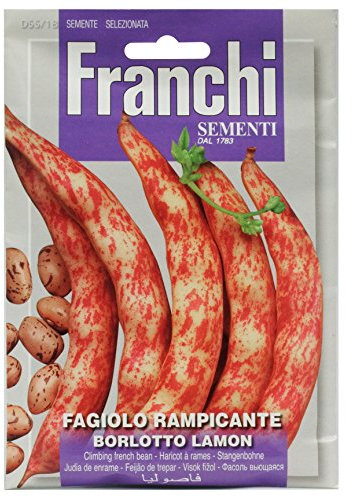 Franchi Borlotto Bean Lamon Climber