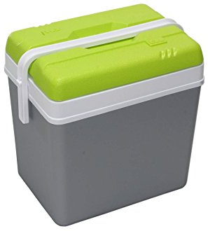 EDA PLASTIQUES EAN3086960221386 GLACIERE 24 L EDA GRIS ET VERT PREVUE POUR BOUTEILLES 2L DEBOUT, Polypropylen (PP) Kunststoff, No Color