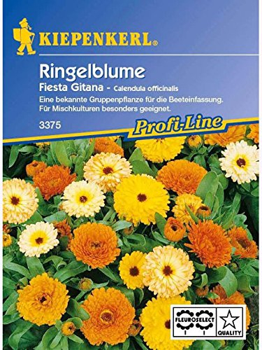 Calendula officinalis Ringelblume Fiesta Gitana Mischung