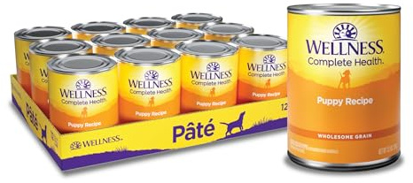 Wellness Complete Health Pate Puppy Canned Wet Dog Food, Wholesome Grains, Natural, Chicken and Salmon Recipe, 12.5 oz, Pack of 12 Cans