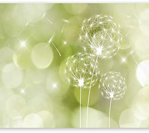 Fototapete murando 350x256 cm Vlies Tapeten Wandtapete XXL Moderne Wanddeko Design Wand Dekoration Wohnzimmer Schlafzimmer Büro Flur Blumen Pusteblume b-C-0111-a-d