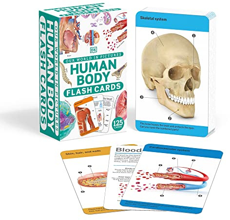 Our World in Pictures Human Body Flash Cards
