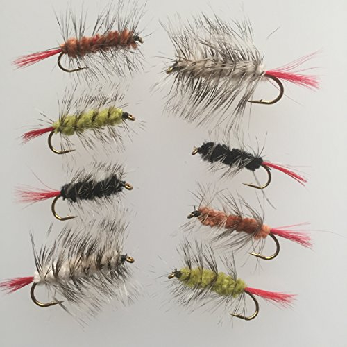 BestCity Fliegenfischen Fliegen Wollwürmer Set mit 8 Forellen und Meerforellenfliegen Nymphen #188