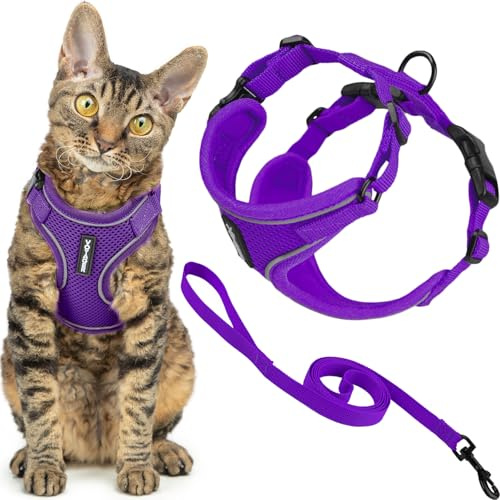 Voyager Escape-Proof Step-in Lock Cat Harness & 5ft Neoprene-Handle Leash Set All-Weather Mesh with Reflective Stitching for Small to Large Cats by Best Pet Supplies, Purple (327), M