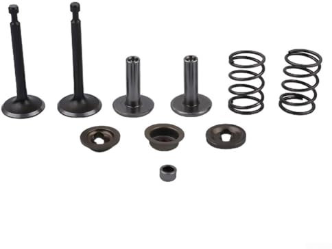 Kit complet de robinet de levage de soupape et de joint de retenue à ressort pour applications GX200