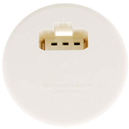 Zenitech - Couvercle DCL pour Boîte Applique Ø80 mm - Blanc - Prise DCL Intégrée 2 P+T 6A 250V - Installation Rapide et Sécurisée - Compatible Fiches et Douilles DCL - Pour Boîtes Maçonnerie et Placo