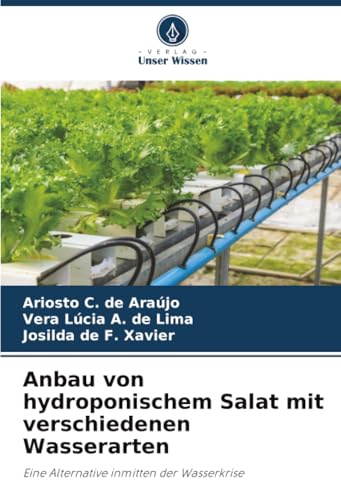 Anbau von hydroponischem Salat mit verschiedenen Wasserarten: Eine Alternative inmitten der Wasserkrise