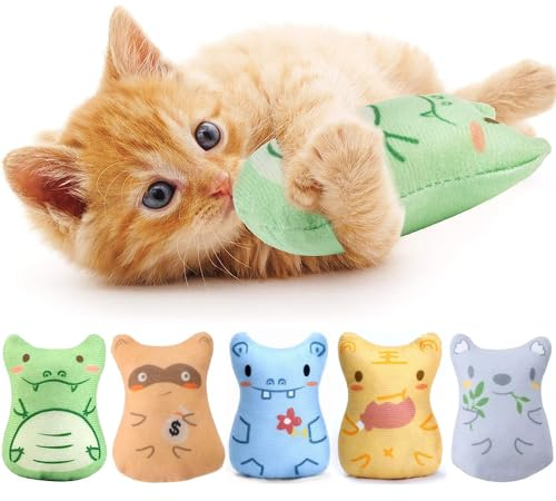 SURALIN 5-teiliges Katzen Spielzeug für den Innenbereich Plüschkatzen Kauspielzeug Zahnen interaktives mit Katzenminze gefülltes Kätzchenspielzeug Katzenminze Spielzeug
