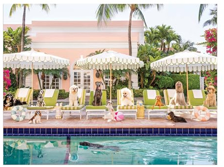 Galison Gray Malin Palm Beach – 1000 Piece Book Box Puzzle with Glamorous Palm Beach Dogs Photography Packaged in Magnetic Keepsake Book Sized Box