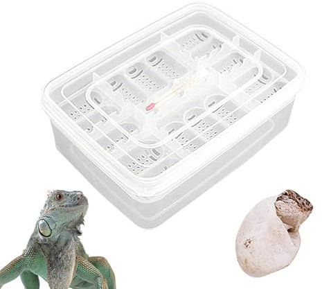 Honhoha Reptilien-Aufzuchtbox, Reptilien-Brutbox Transparenter Reptilien-Inkubator mit 16 Gittern,Brutkasten, Brutkasten für Geckos, Eidechsen, Löwenmähne, Brutkasten