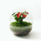 Kokedamas Lucciana Terrario Plantas Cristal - Cápsula con Anturio Rojo | Jardin Eterno en Cristal o Ecosistema Cerrado | Ideal para Decoración Hogar | Terrarios Autónomos | Medidas, 28 cm x 28 cm