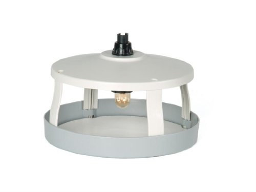 STV Big Cheese 020 Flea Killer STV020