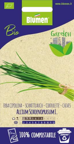 SEMI DI ERBA CIPOLLINA BIO GREENPACK BLUMEN